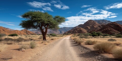 A road in the desert with a tree in the middle. The sky is blue and the sun is shining