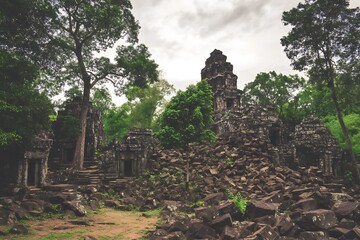 Collapsed temple amidst lush jungle greenery