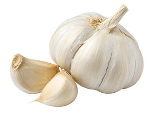 Obraz premium Fresh Garlic Bulb and Cloves Close-up Isolated on transparent background, Isolated Png, Isolated on transparent background, Isolated Png file, Cut-out, No Background, Isolated object