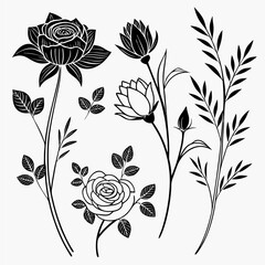 Hand Drawn Floral Line Art, Black and White Botanical Flowers Set.