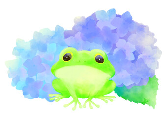 梅雨のカエルと紫陽花のイラスト（水彩風・初夏の季節素材）