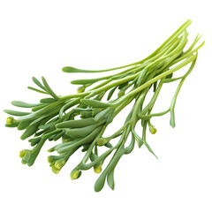 Sea Asparagus A Culinary Delight  Vibrant Green Vegetable CloseUp isolated on transparent background