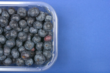 A clear plastic container of blueberries fills the left side of the frame, set against a solid blue background with copy space on the right