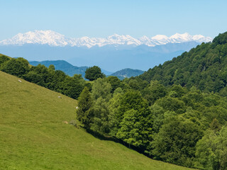 Fototapeta premium green alpine landscape, still snow-capped peaks in the distance