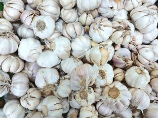 Heap of garlic on the market. Garlic has a strong and aromatic taste, used as a traditional medicine and food ingredient.