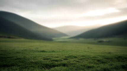 Fototapeta premium Green meadow with blurred hill background