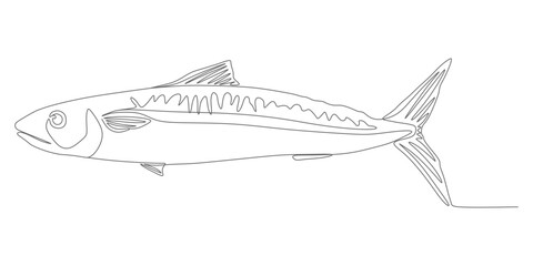 Minimalist Mackerel Fish &ndash; Continuous Line Icon Vector Illustration