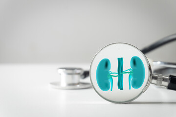 Medical and Healthcare idea.,Magnifying glass focusing on human kidneys with a stethoscope in the background.Concept for nephrology, renal health,diagnosing kidney disease,urology,urinary system.