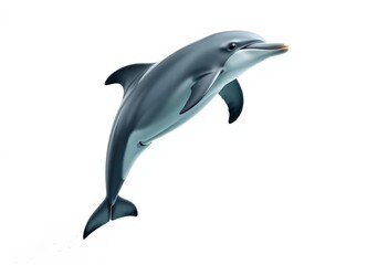 A playful dolphin leaps high, arcing gracefully against a pristine white background,  minimalist,  summer