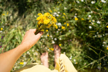 Woman holding bouquet of dandelions in field of wildflowers