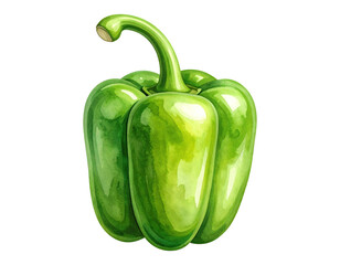 Watercolor illustration of colorful peppers. Food clipart illustration.