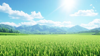 Vast lush green agricultural field under bright blue sky with scattered clouds and distant mountains, showcasing vibrant healthy crop growth and open rural landscape