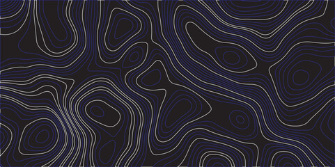  an abstract topographic map design with smooth, flowing contour lines in varying shades of dark blue and gray against a black background. The design should have a modern, minimalistic aesthetic,