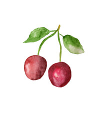 cherry with leaves