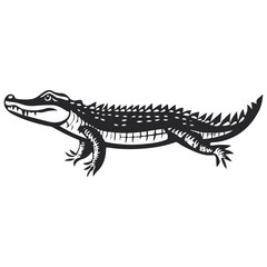 Obraz premium crocodile, reptile, vector, transparent background, creature, animal, isolated, nature, alligator, amphibian, wildlife, zoo