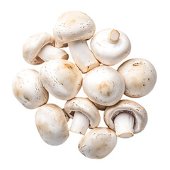 Mushroom champignon