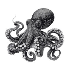Obraz premium Intricate Stipple Illustration of an Octopus