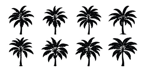 Set of vector banana trees silhouette on white background