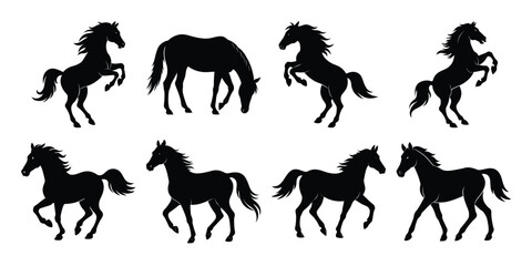 Set of vector horse silhouette on white background