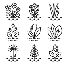 Aquatic Plant Icons. Outline icon set of marginal aquatic plants: marsh marigold, waterforget-me-not, sweet flag, water plantain,