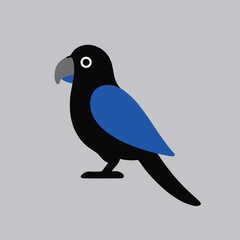 Cute vector parrot with big eyes, simple design, great for kids' projects and decor.