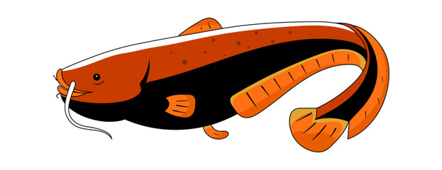 Fish Catfish vector. Clipart, colorful sea life illustration.