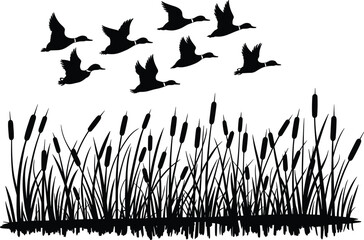 Dynamic Vector Illustration of Wild Birds and Wetlands, Perfect for Nature, Wildlife, Hunting, and Outdoor Landscape Designs