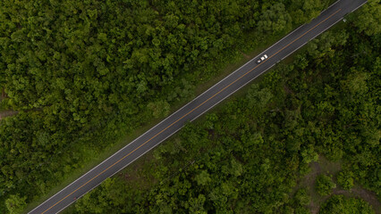 A road in a deep forest with a car running at high speed.	