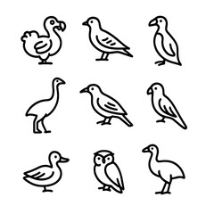 Obraz premium Extinct Birds Icon Set. Outline icon set of extinct birds: dodo, passenger pigeon, great auk, moa, huia, Carolina parakeet,