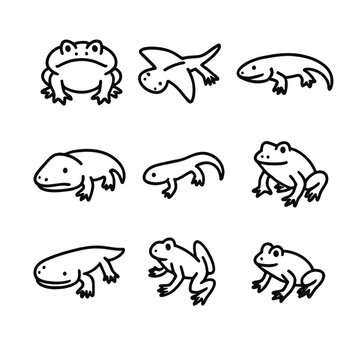Extinct Amphibians Icons. Outline icon set of extinct amphibians and early tetrapods: beelzebufo, diplocaulus, koolasuchus,