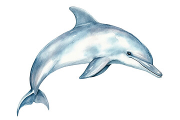 watercolor dolphin vector illustration, underwater ocean animal art isolated on white background