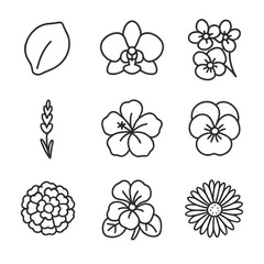 Flower Garnish Icons. Outline icon set of flower garnishes: edible rose petal, orchid bloom, violet cluster, lavender bud,