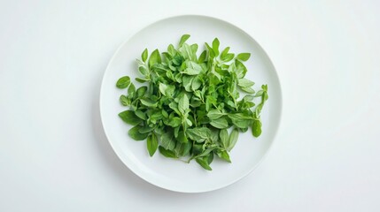 Marjoram herb flakes arranged neatly on a white plate, isolated background