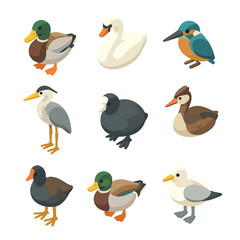 Pond Bird Icon Set. Isometric Flat icon set of pond bird visitors: mallard duck, swan, kingfisher, heron, coot, grebe, moorhen,