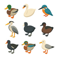 Pond Bird Icon Set. Isometric Flat icon set of pond bird visitors: mallard duck, swan, kingfisher, heron, coot, grebe, moorhen,