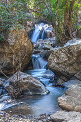 Mountain stream green forest at spring time