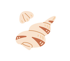 Icon of sea shells- conch and scallop. Tropical beach decoration- seashells, cockles, mollusks. Ocean clams, cockleshells, exotic shellfishes. Flat isolated vector illustration on white background