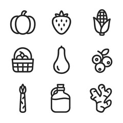 Fototapeta premium Seasonal Icon Set. Outline icon set of seasonal specialties: pumpkin, strawberry, corn on cob, cherry basket, squash, blueberry