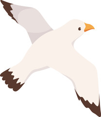 Flying Seagull Bird Illustration