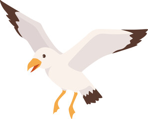 Flying Seagull Bird Illustration