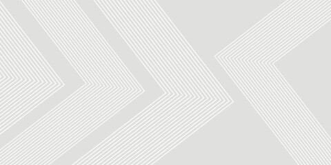 gray and white abstract background modern patttern. smooth abstract background vector