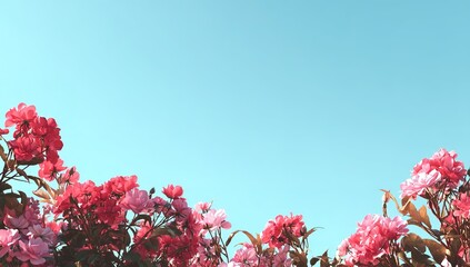 Pixelated Pink Roses Against Bright Sky