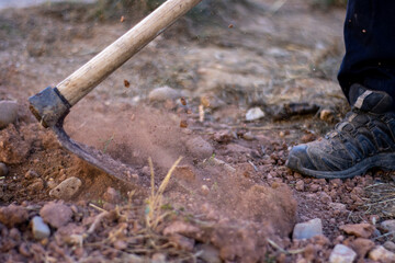 Farmer working with hoe in the field, lifting soil and dust