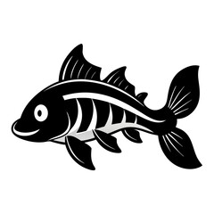 fish on a white background