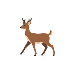 Fototapeta premium vector illustration of a reindeer