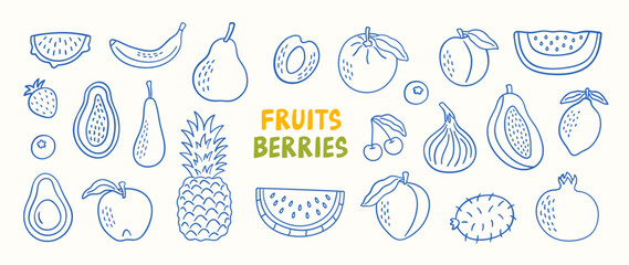 Doodle set of fruits and berries. Vector illustration. 
