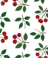 image of cherry branch on white background, loop.