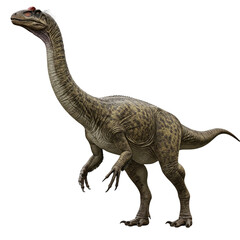 tyrannosaurus rex isolated on white