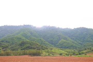 mountain,landscape in the mountains