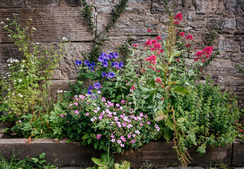 Raised Flower Bed Against Stone Wall